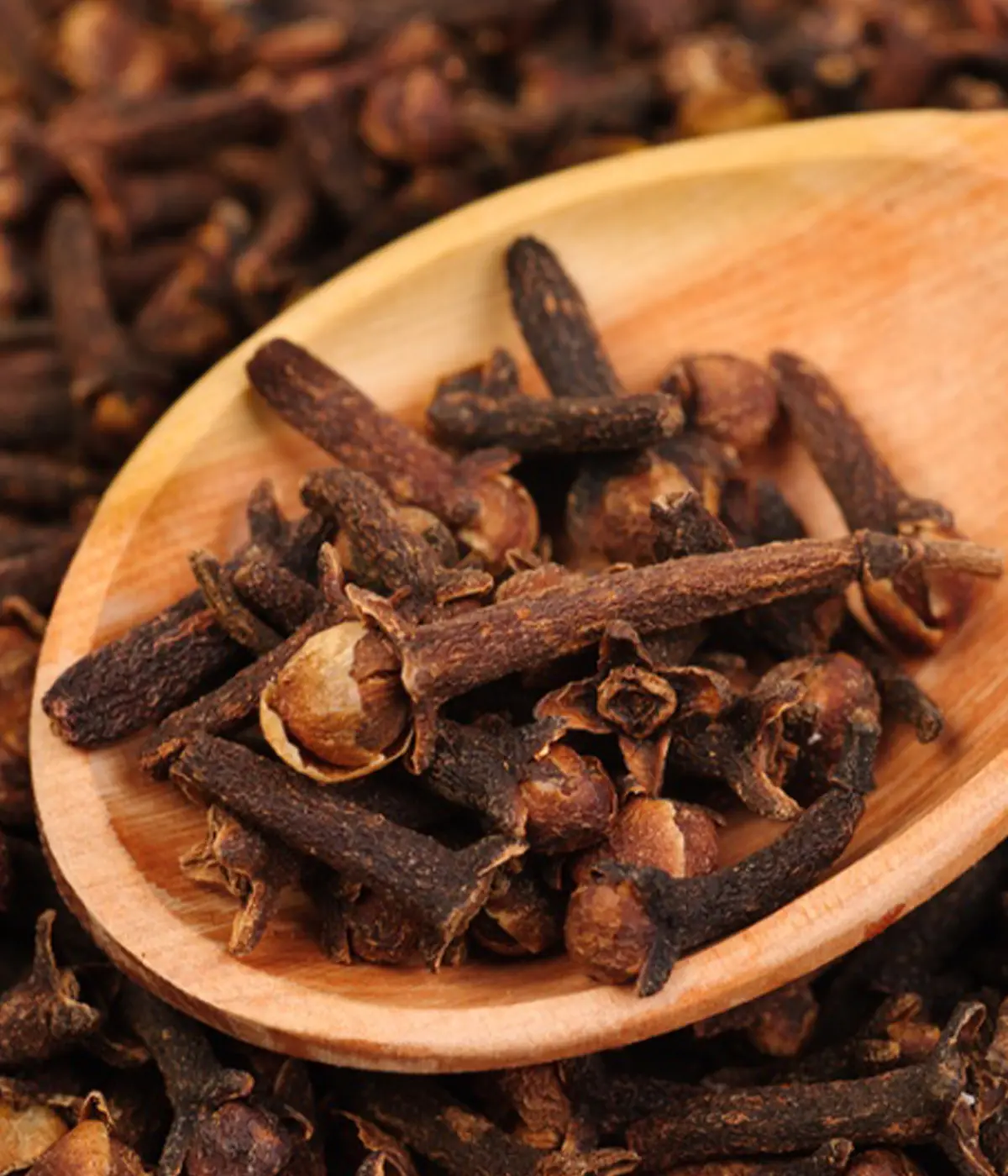 Ceylon Clove